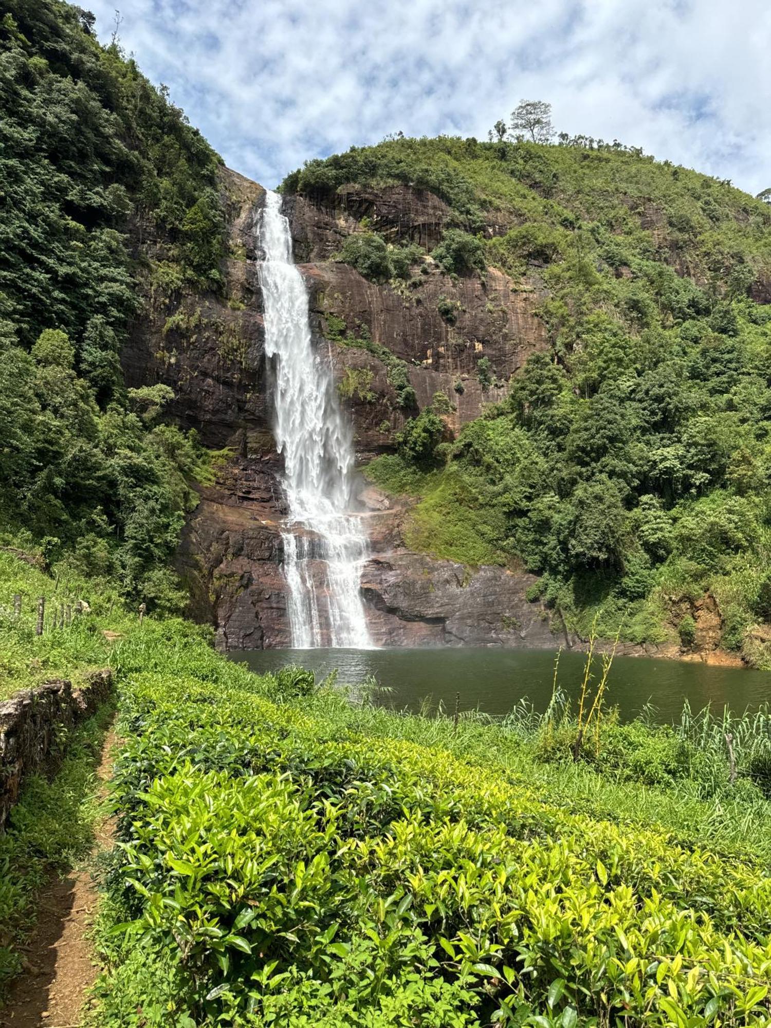 Pekoe Lodge Maskeliya Esterno foto