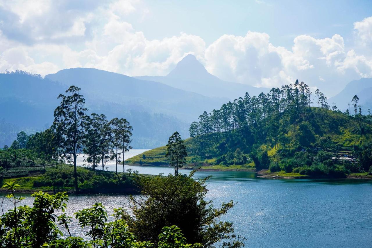 Pekoe Lodge Maskeliya Esterno foto